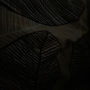 Meet your Posher, Tamara